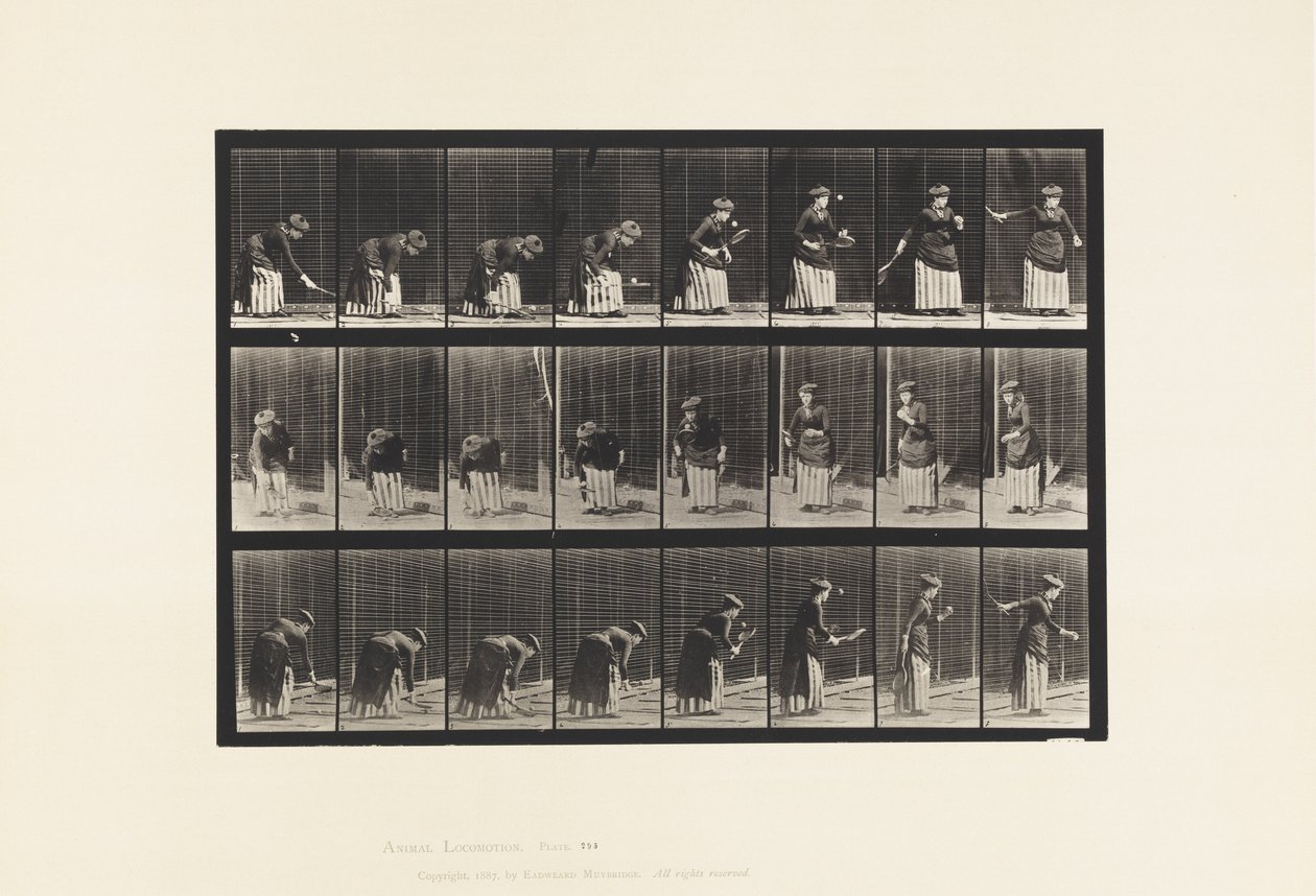 Lauta 295. Nurmikon tennis; Tarjoilu tekijältä Eadweard Muybridge