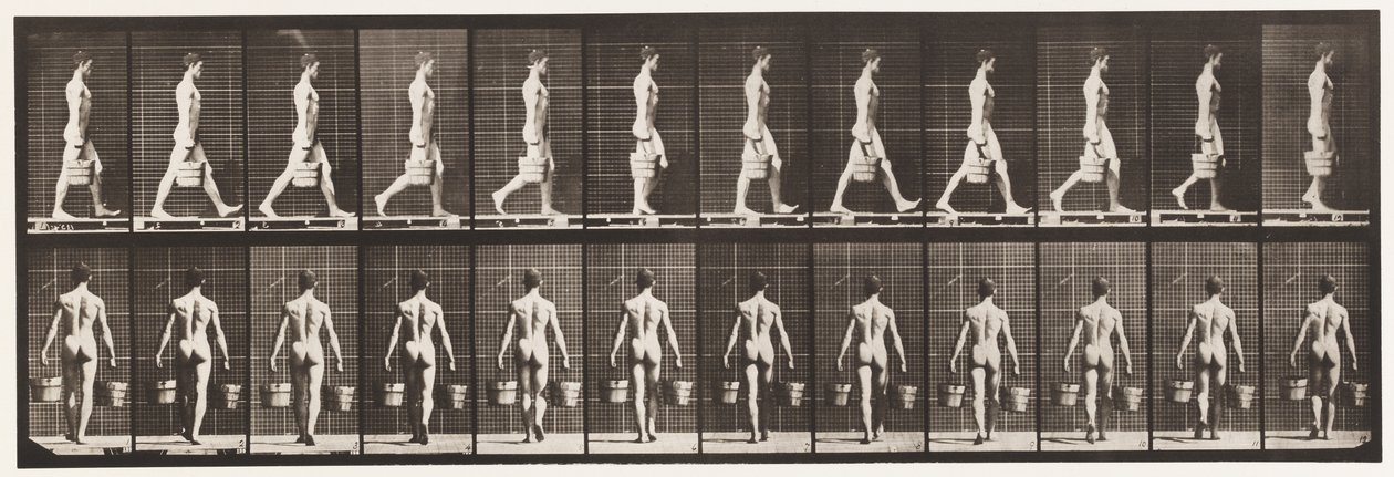 Levy 29. Kävely, vesiämpäri kantoi kummassakin kädessä, 1872-1885 tekijältä Eadweard Muybridge