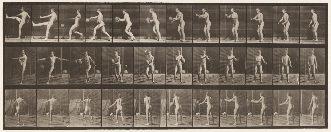 Lauta 301. Jalkapallo; Punt, 1885 tekijältä Eadweard Muybridge