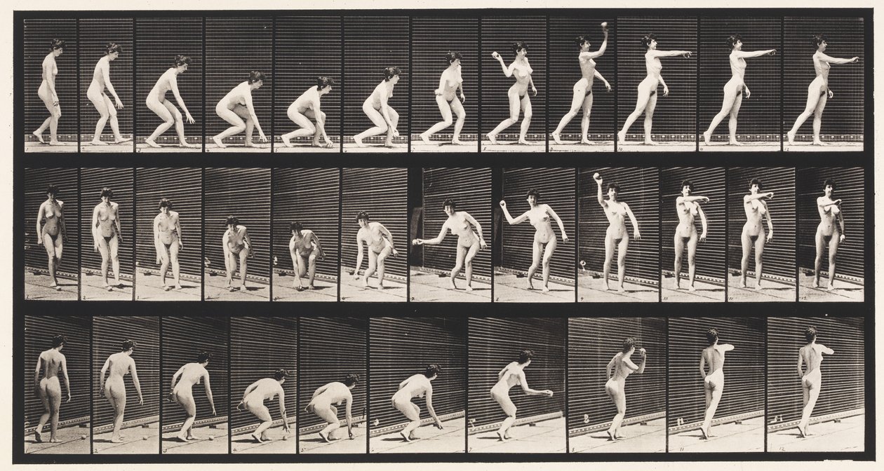 Levy 303. Pallon poimiminen ja sen heittäminen, 1872-1885 tekijältä Eadweard Muybridge