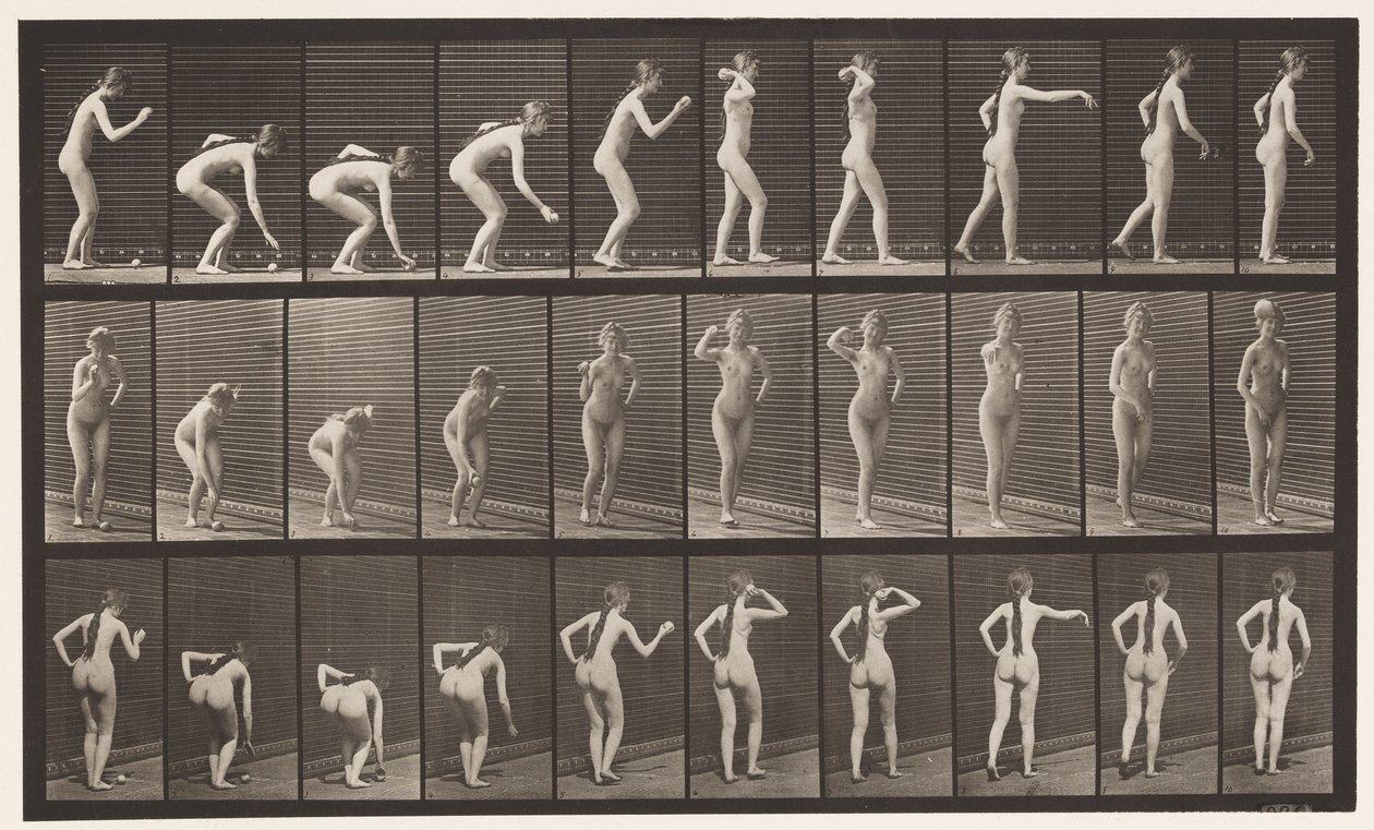 Lauta 304. Pallon poimiminen ja heittäminen tekijältä Eadweard Muybridge
