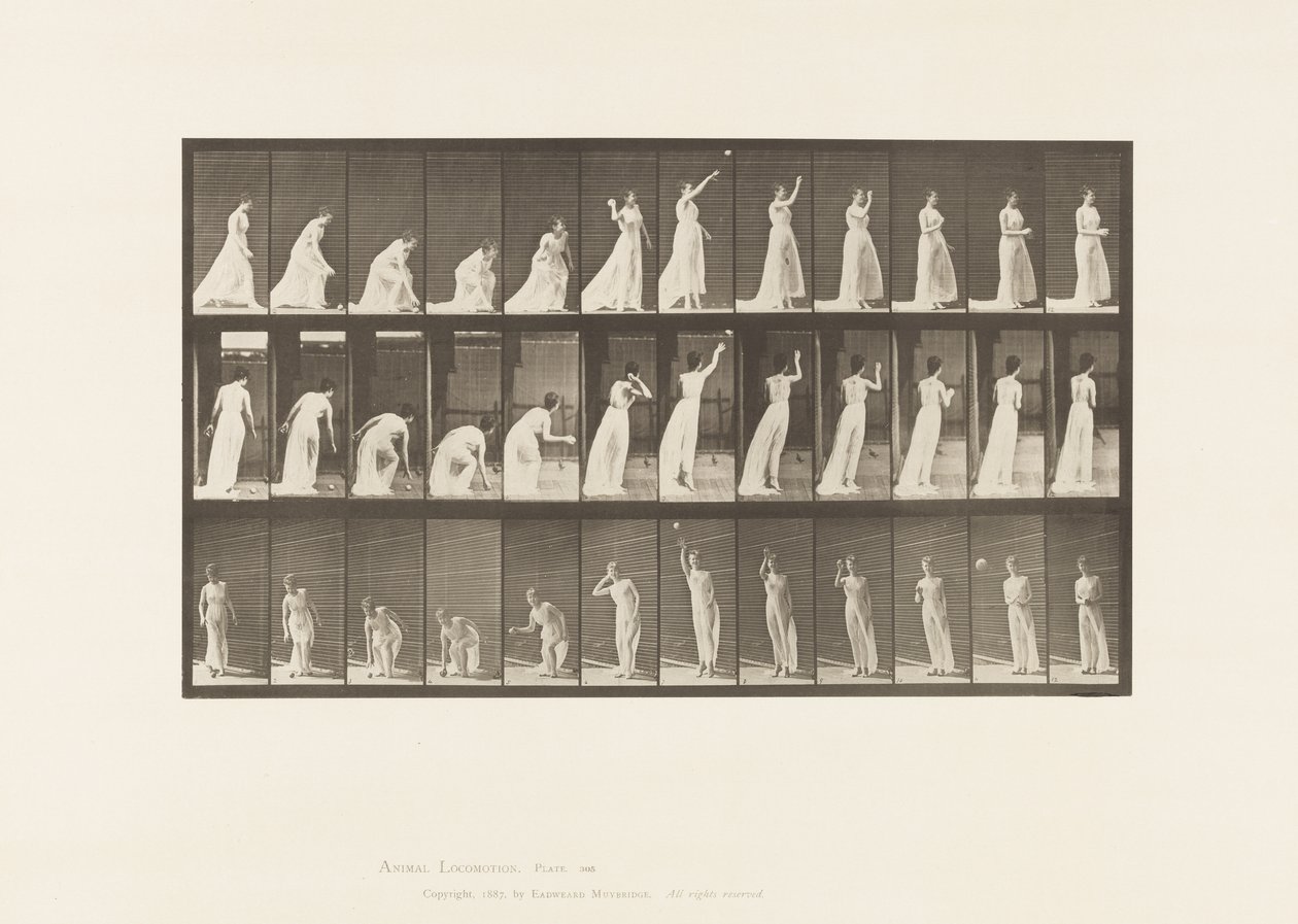 Lauta 305. Pallon poimiminen ja sen heittäminen, 1885 tekijältä Eadweard Muybridge