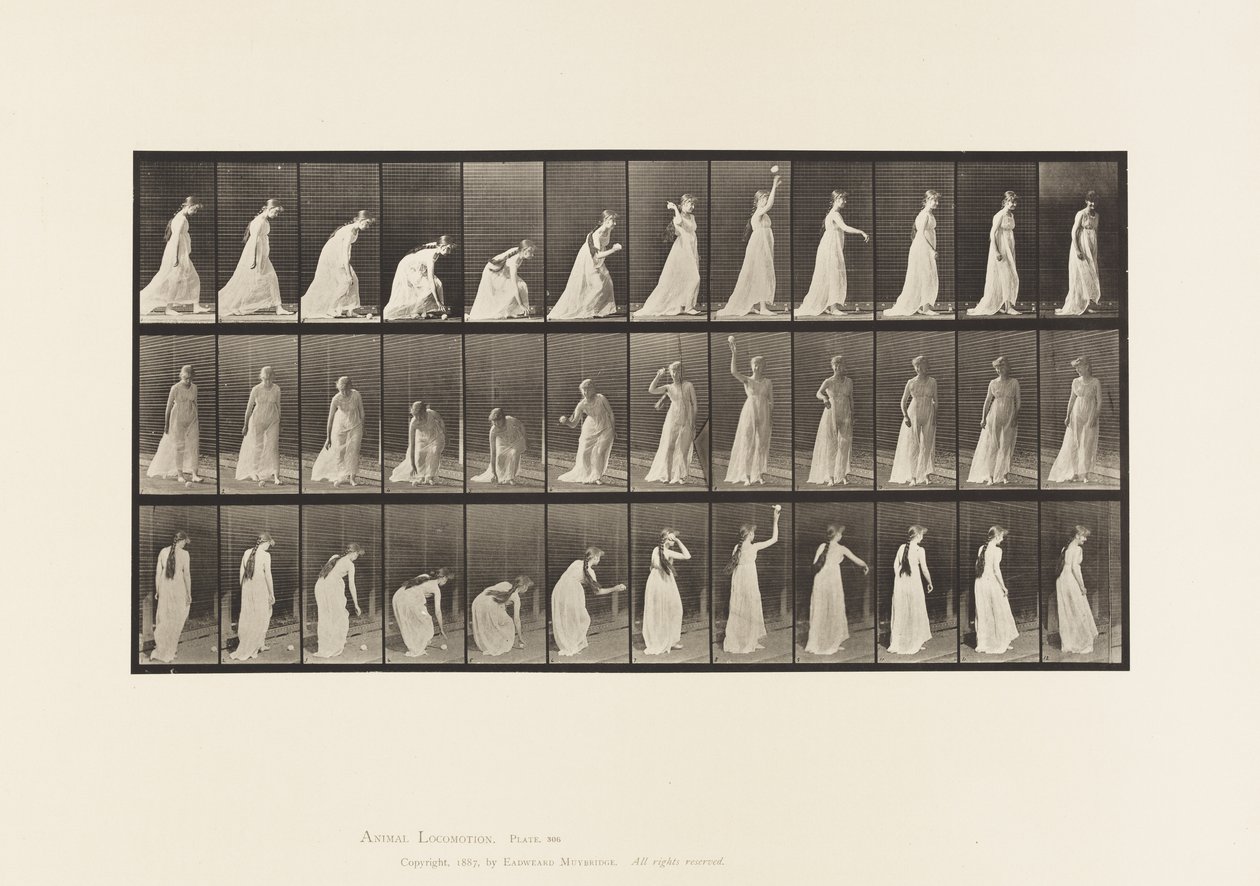 Lauta 306. Pallon poimiminen ja sen heittäminen, 1885 tekijältä Eadweard Muybridge
