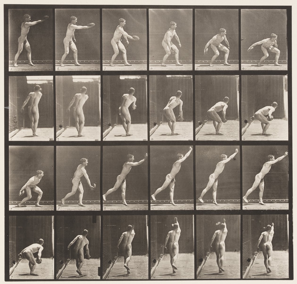 Levy 307. Rautakiekon heittäminen, 1872-1885 tekijältä Eadweard Muybridge