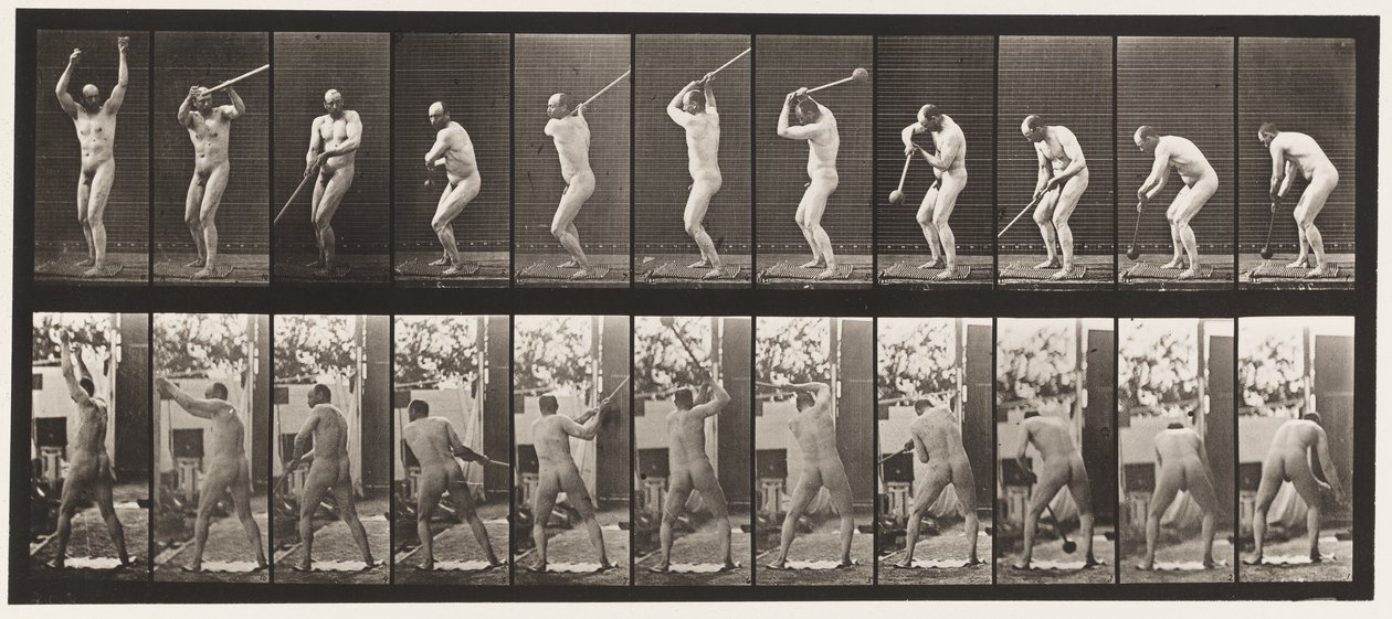 Lauta 308. Vasaranheitto, 1885 tekijältä Eadweard Muybridge