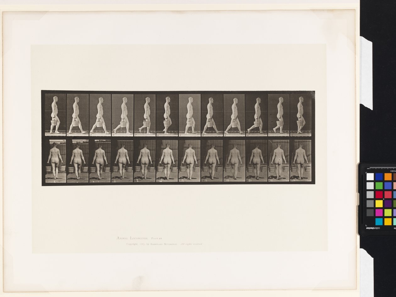 Lauta 30. Kävely, vesiämpäri kantoi kummassakin kädessä tekijältä Eadweard Muybridge