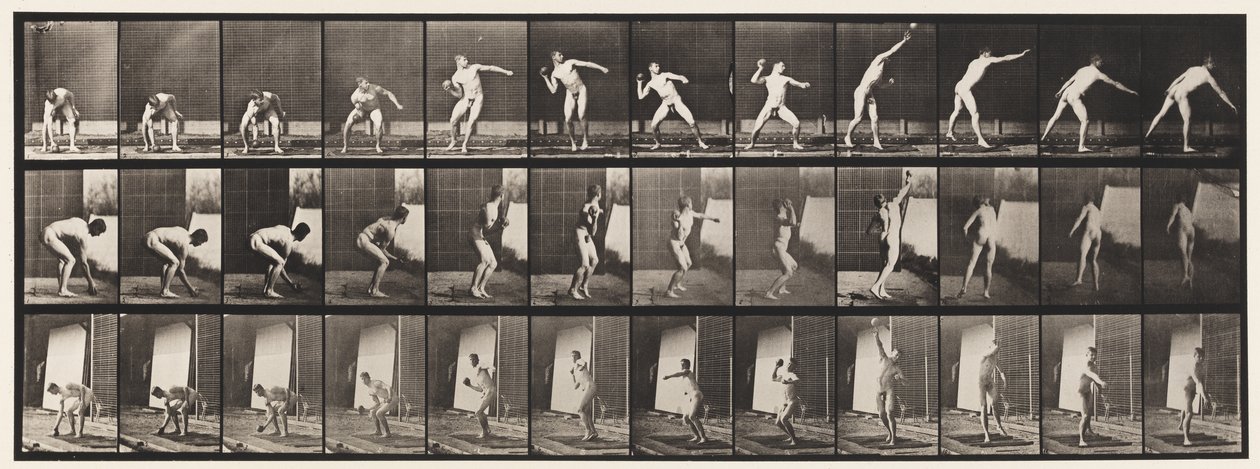Levy 310. Laukaisu, 1885 tekijältä Eadweard Muybridge