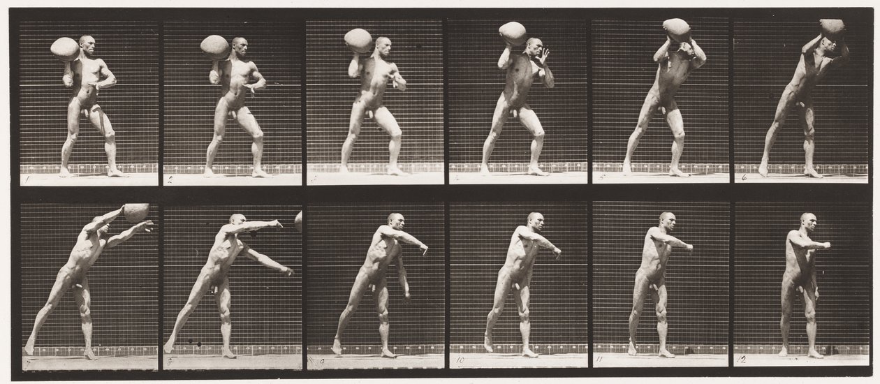 Levy 311. 75-lb:n kallion nostaminen, 1885 tekijältä Eadweard Muybridge