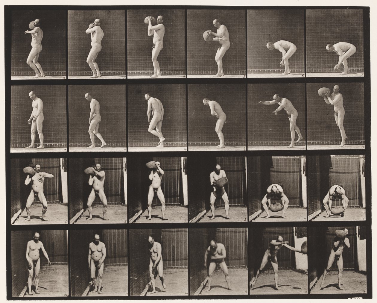 Levy 312. Healing 75-lb rock tekijältä Eadweard Muybridge
