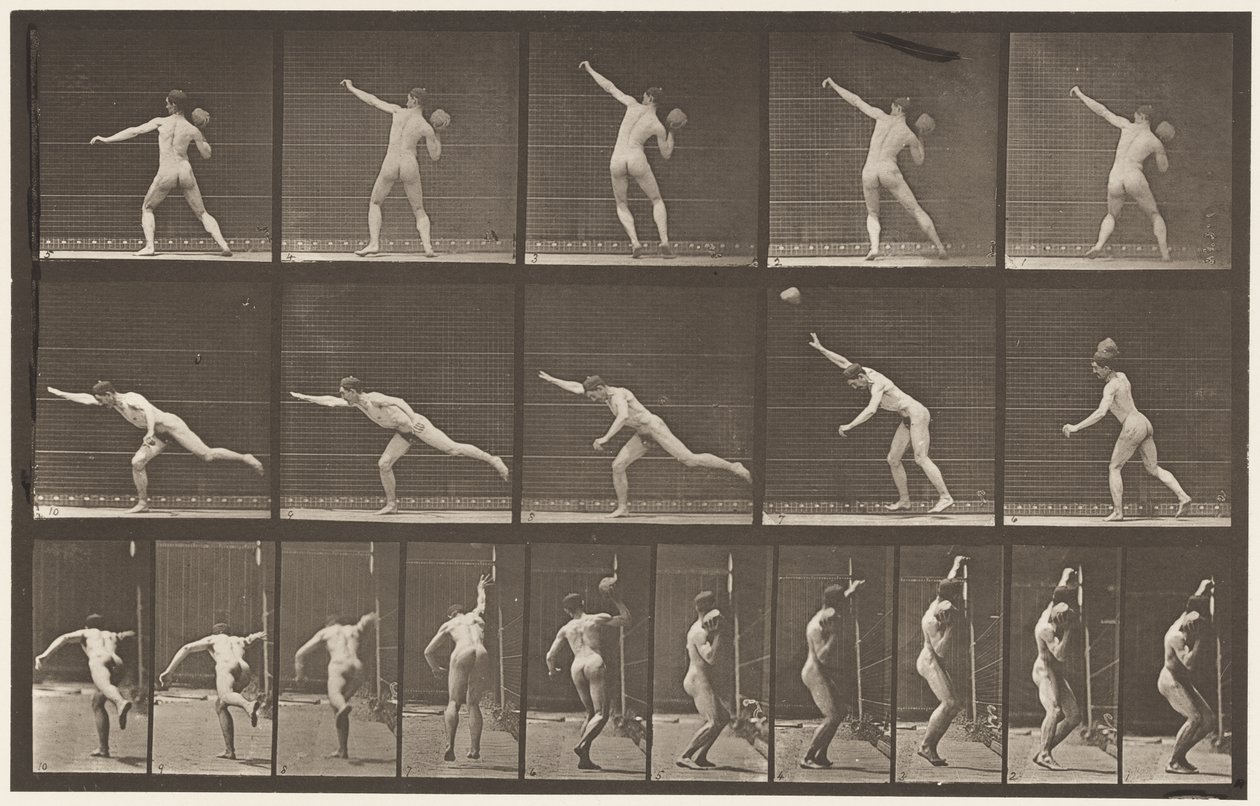 Levy 313. 20-lb:n kallion nostaminen, 1885 tekijältä Eadweard Muybridge