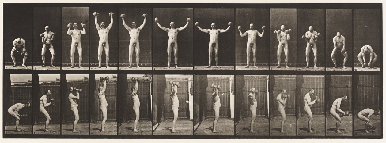 Levy 325. Kahden nostaminen ja pitäminen 50-lb. Käsipainot, 1885 tekijältä Eadweard Muybridge