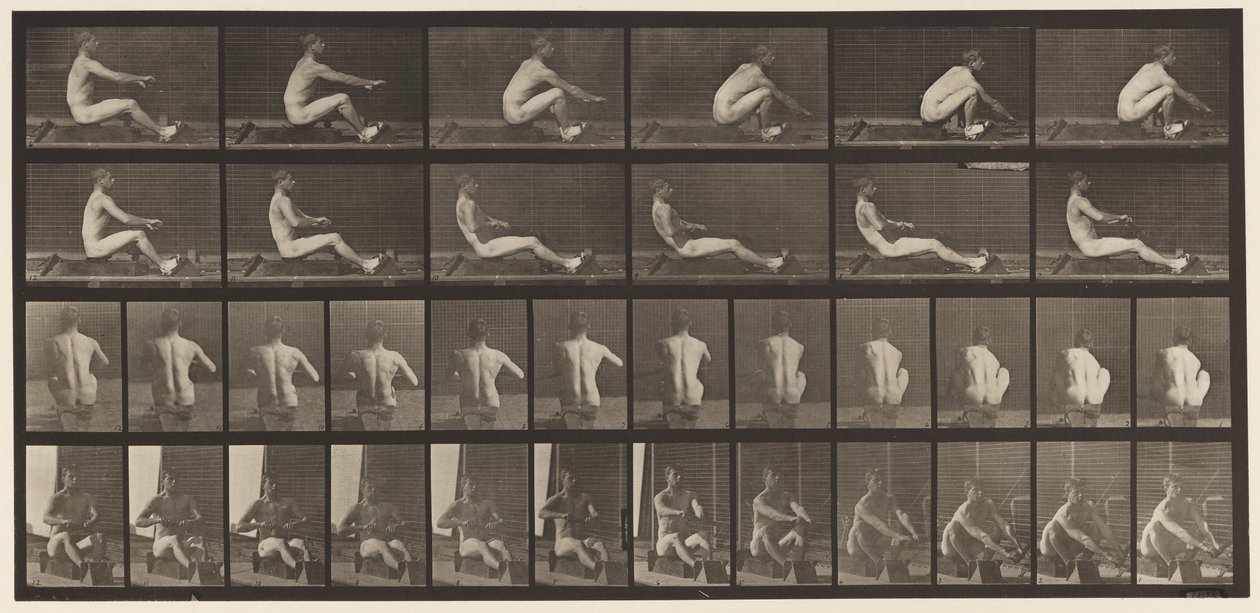 Lauta 328. Soutu tekijältä Eadweard Muybridge