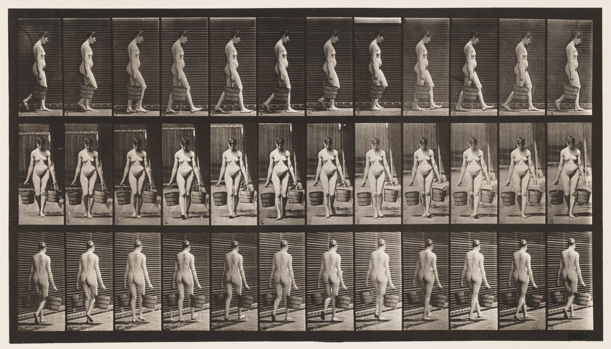 Lauta 32. Kävely, vesiämpäri kantoi kummassakin kädessä tekijältä Eadweard Muybridge