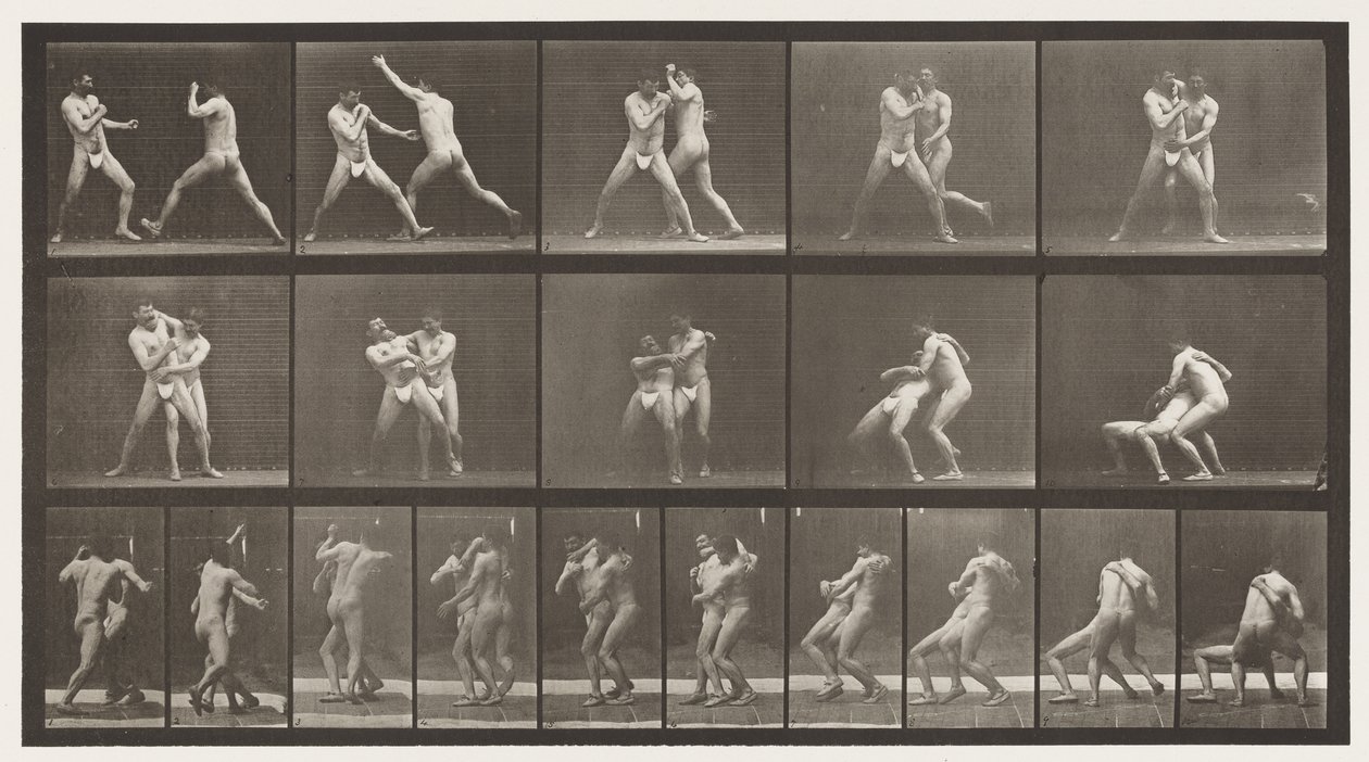 Levy 331. Nyrkkeily; Pysähdy Cross-buttocksille tekijältä Eadweard Muybridge