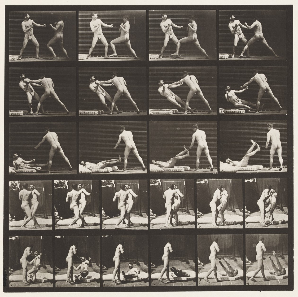 Levy 333. Nyrkkeily; 53 Knocking 52 Down (kengät) tekijältä Eadweard Muybridge