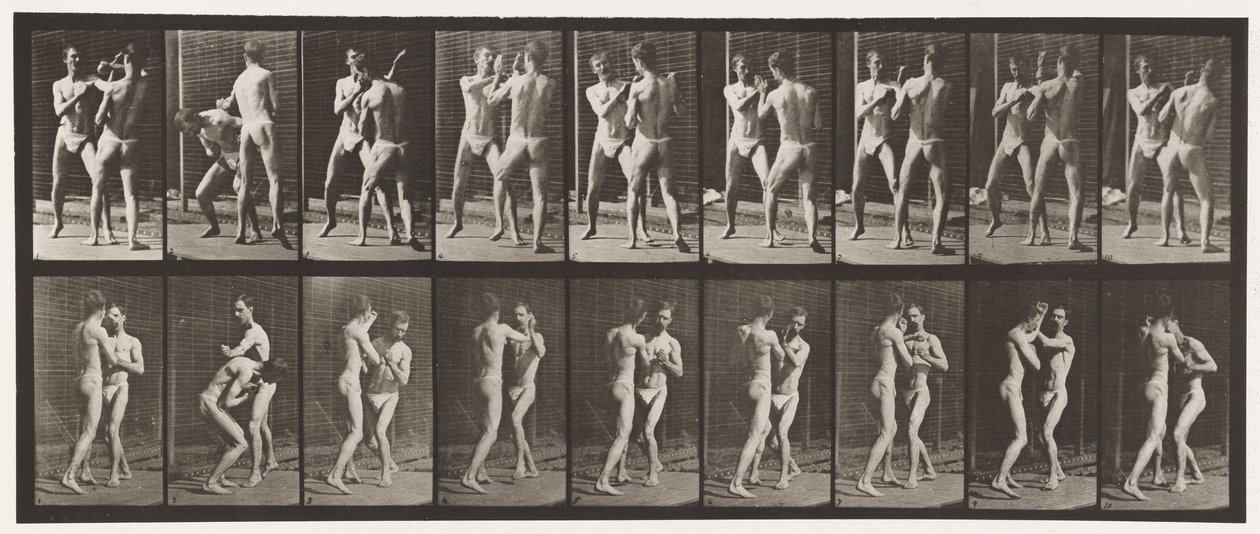 Levy 337. Nyrkkeily; Avoin käsi tekijältä Eadweard Muybridge