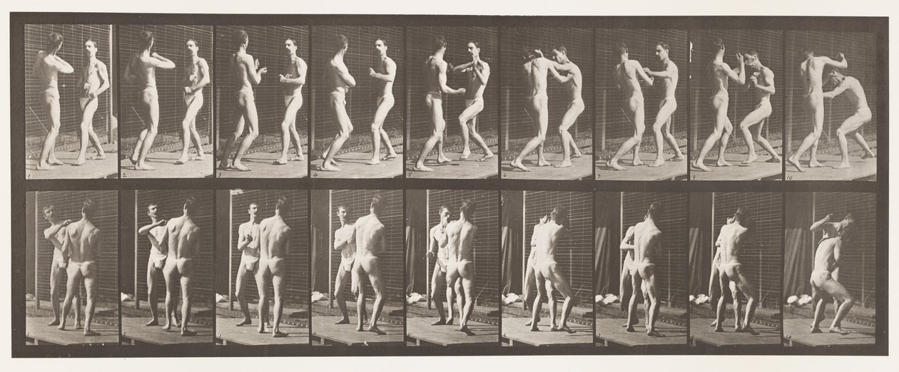 Levy 339. Nyrkkeily; Avoin käsi tekijältä Eadweard Muybridge