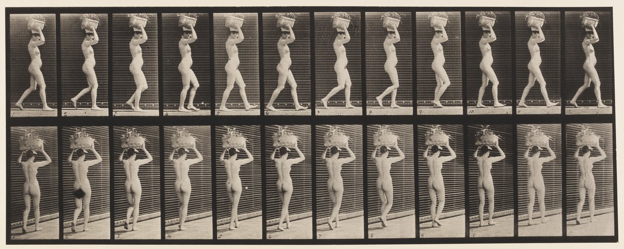 Lauta 33. Kävely, 14-lb. Kori päässä, kädet kohotettuina, 1872-1885 tekijältä Eadweard Muybridge