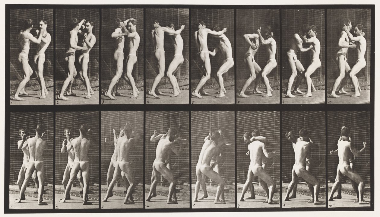 Levy 341. Nyrkkeily; Avoin käsi tekijältä Eadweard Muybridge