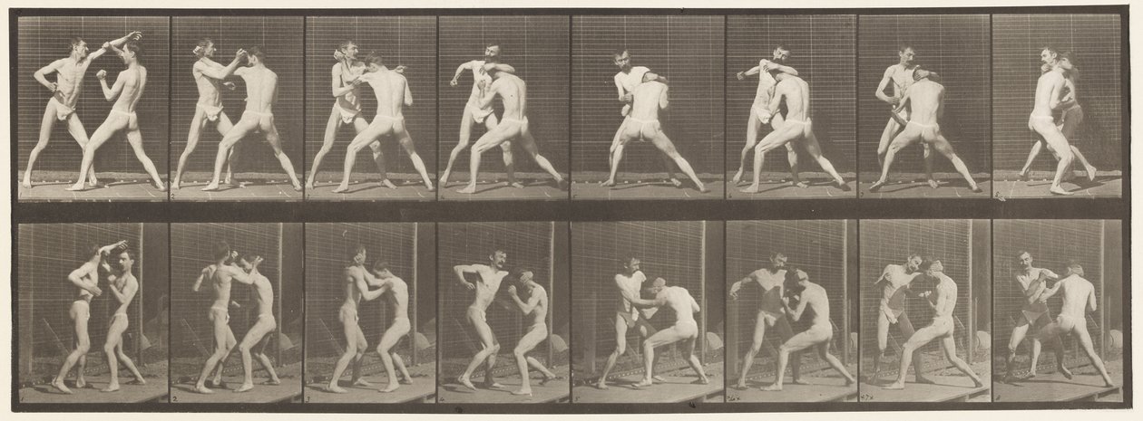 Levy 342. Nyrkkeily; Avoin käsi, 1872-1885 tekijältä Eadweard Muybridge