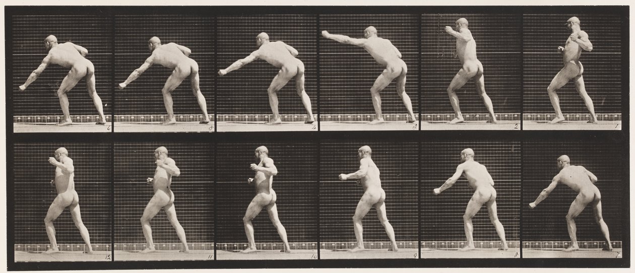 Levy 343. Isku (vasen käsi) tekijältä Eadweard Muybridge