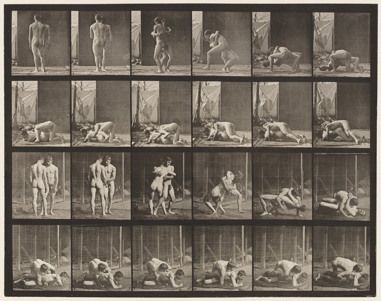 Levy 346. Paini, lukko tekijältä Eadweard Muybridge