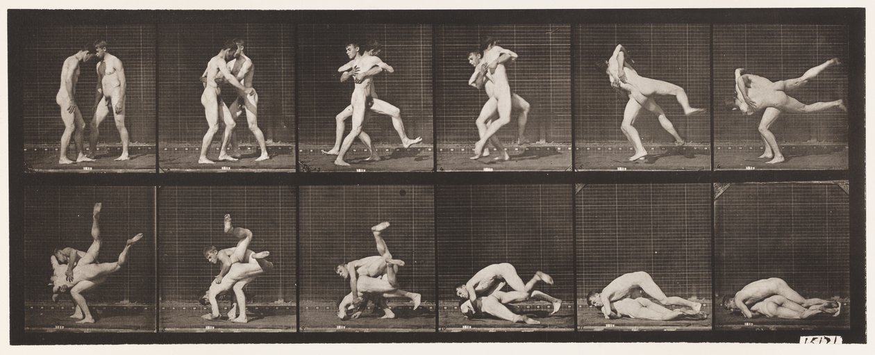 Levy 347. Paini, kreikkalais-roomalainen, 1885 tekijältä Eadweard Muybridge