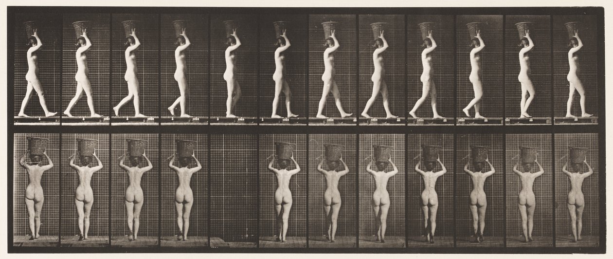 Lauta 34. Kävely tekijältä Eadweard Muybridge