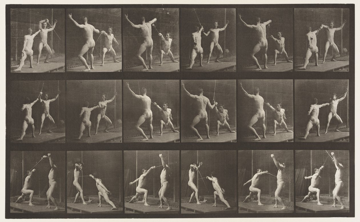 Lauta 350. Aidat tekijältä Eadweard Muybridge