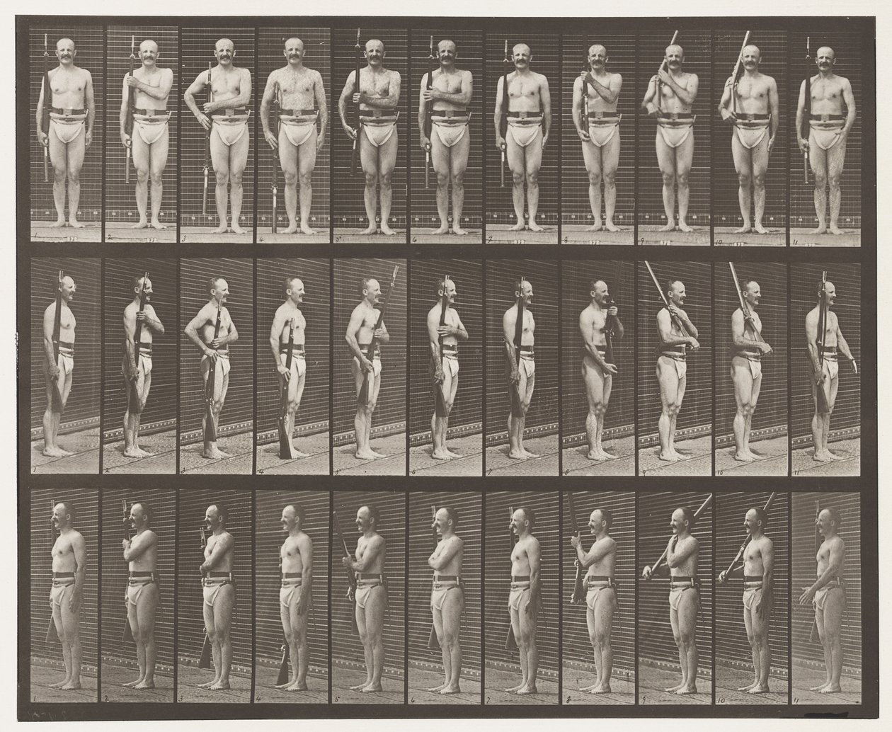 Levy 352. Olkapää, järjestys ja kantovarret tekijältä Eadweard Muybridge