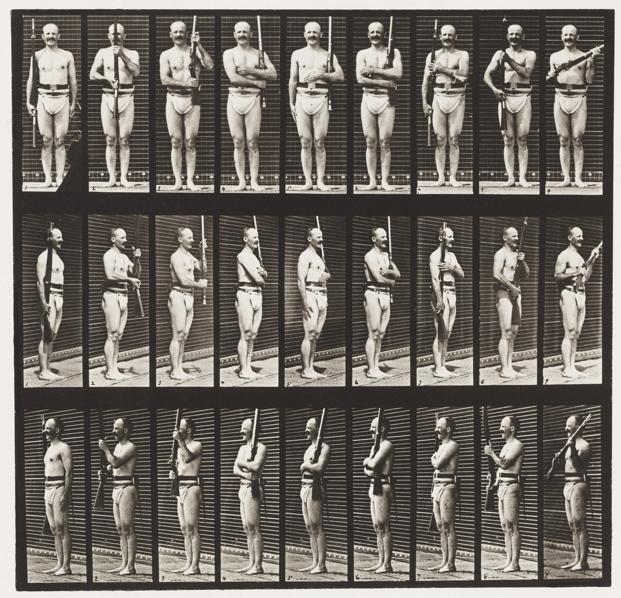 Levy 353. Tukivarret ja käsivarsien portti, 1872-1885 tekijältä Eadweard Muybridge