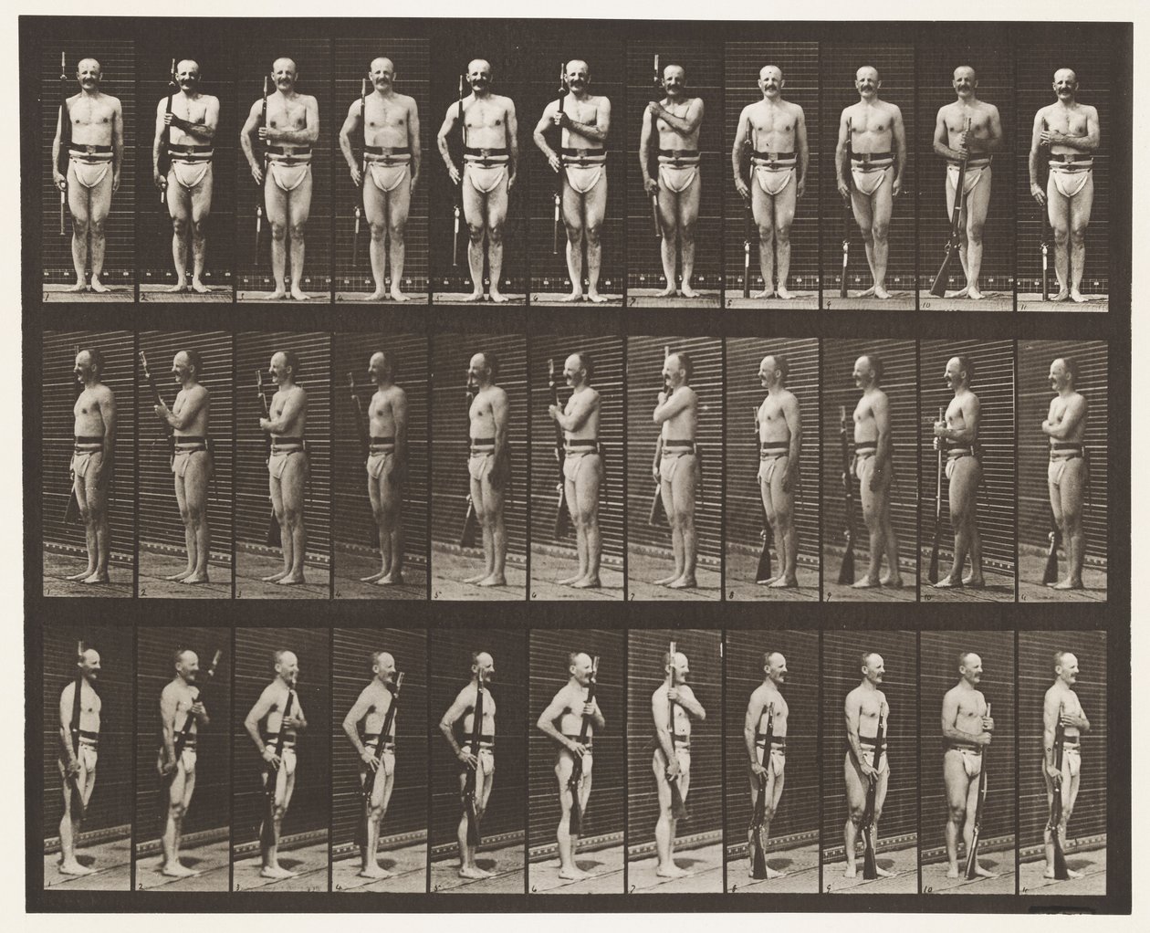 Kilpi 354. Kantoaseet, paraatituki ja polkuvarret tekijältä Eadweard Muybridge