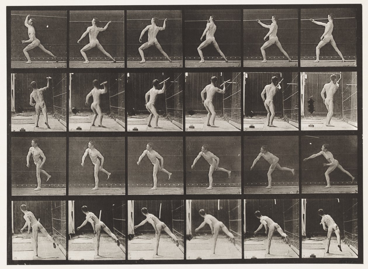 Levy 360. Keihäänheitto, 1872-1885 tekijältä Eadweard Muybridge