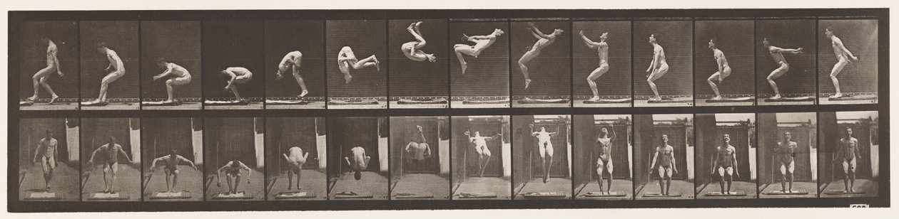 Levy 362. Takaisin kuperkeikka tekijältä Eadweard Muybridge