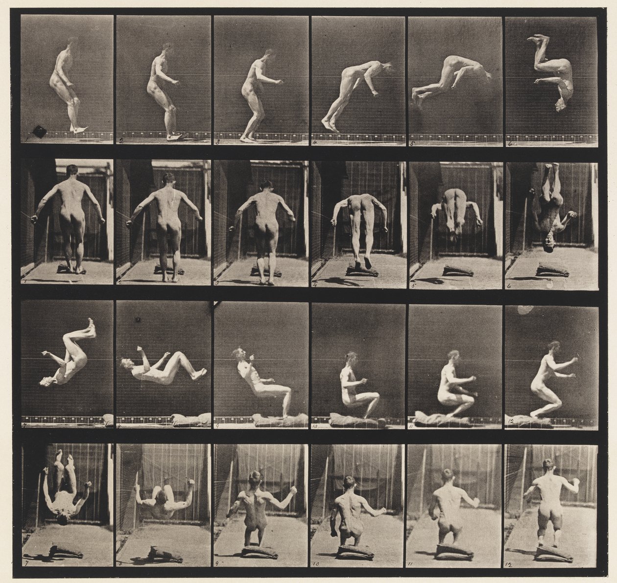 Levy 363. Juokseva kuperkeikka, 1885 tekijältä Eadweard Muybridge