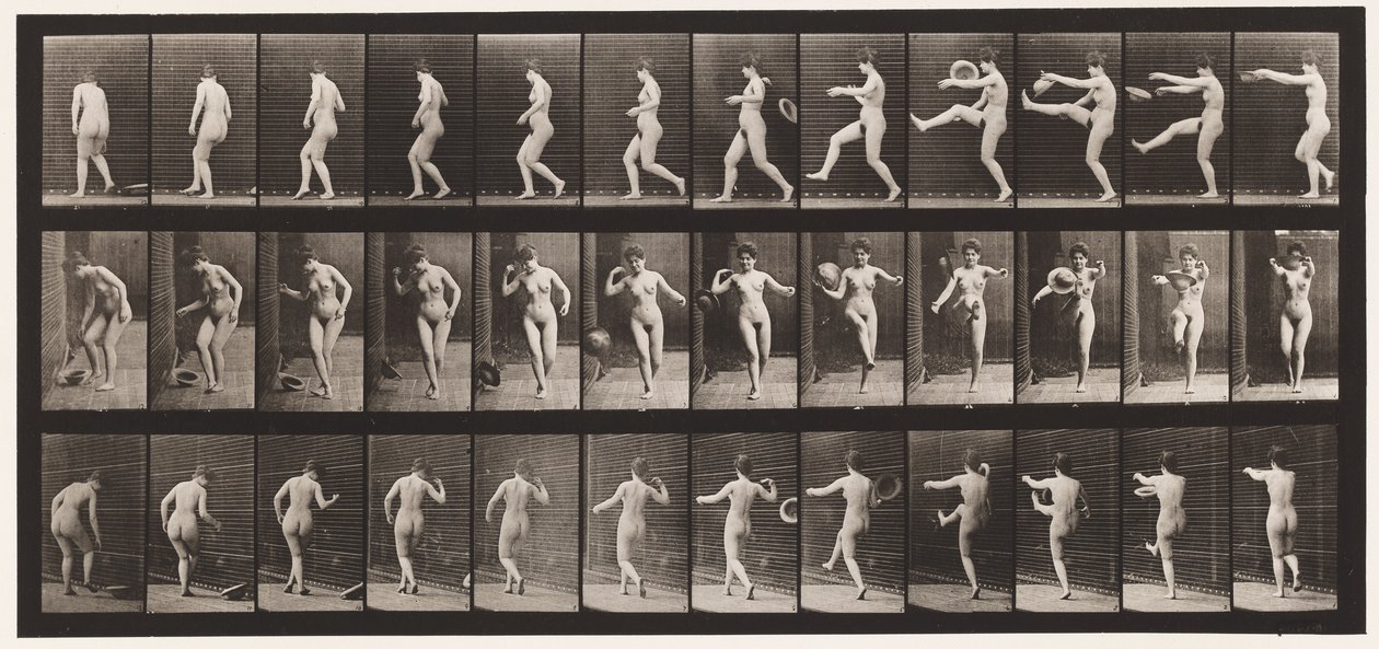 Levy 367. Hatun potkiminen, 1872-1885 tekijältä Eadweard Muybridge