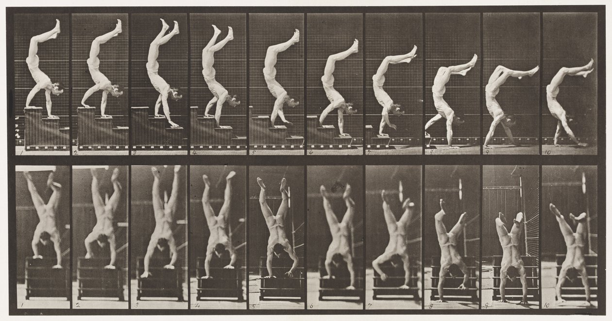 Levy 368. Acrobat, Laskevat portaat käsissä tekijältä Eadweard Muybridge