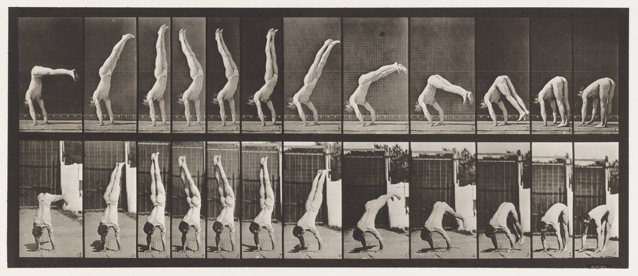 Levy 371. Acrobat, pystypaine ylös tekijältä Eadweard Muybridge