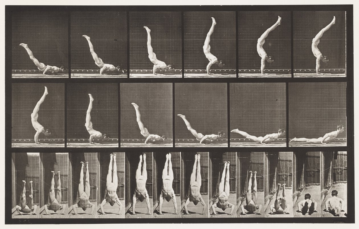 Levy 372. Acrobat, vaakapaine ylös tekijältä Eadweard Muybridge