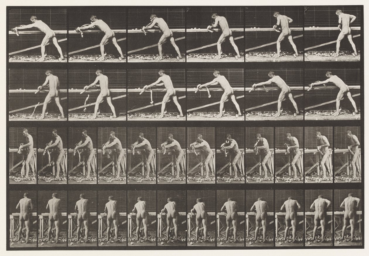 Levy 379. Puuseppä, höyläys lautaa, 1872-1885 tekijältä Eadweard Muybridge