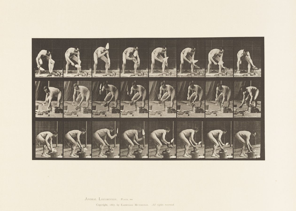 Levy 381. Mason, tiilen laskeminen tekijältä Eadweard Muybridge