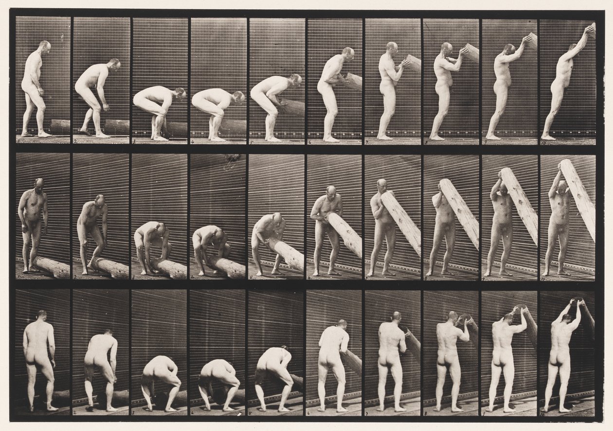 Levy 382. Puun nostopää, 1872-1885 tekijältä Eadweard Muybridge