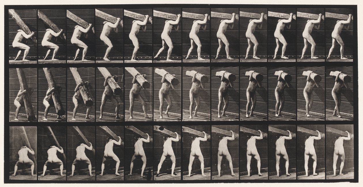 Levy 383. Puun nostaminen olalla tekijältä Eadweard Muybridge