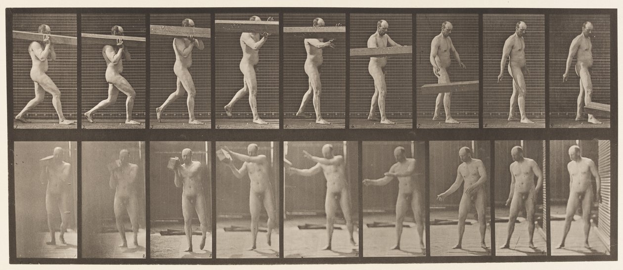 Levy 384. Puun nostaminen olalla tekijältä Eadweard Muybridge