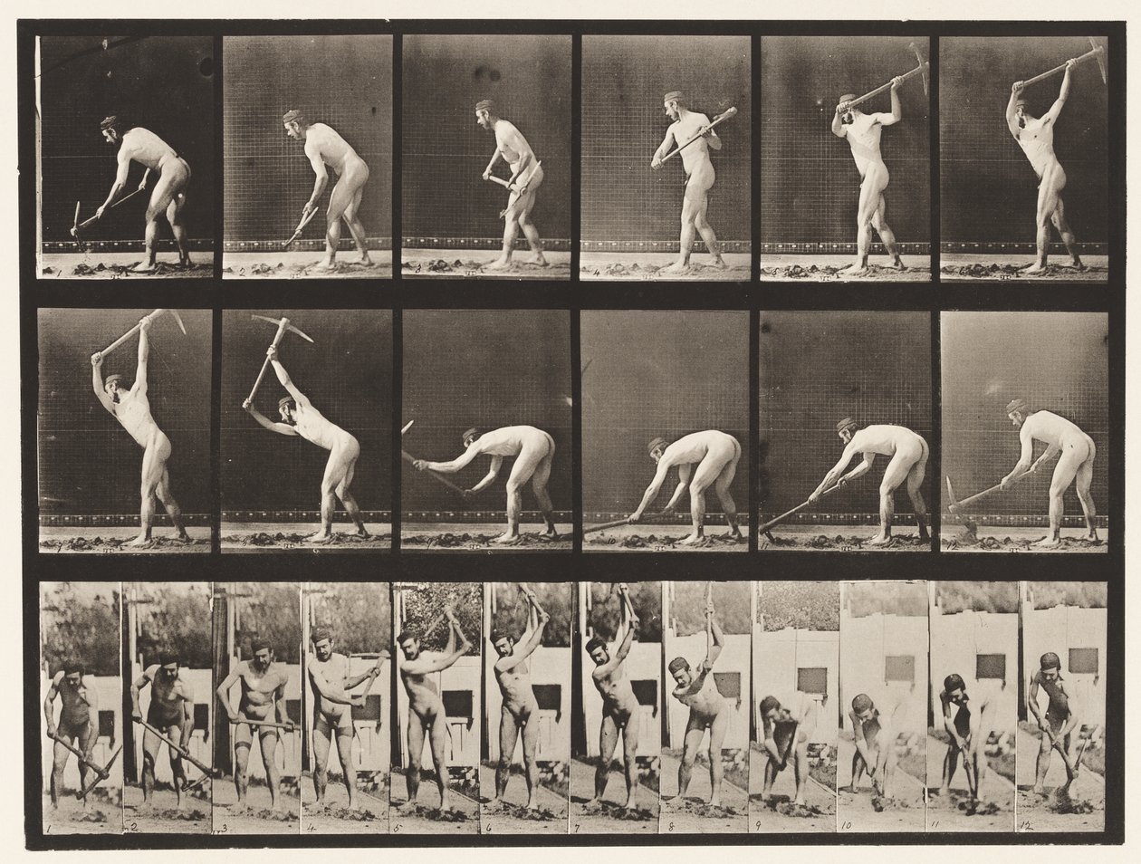 Levy 385. Maanviljelijä, käyttäen hakkua, 1872-1885 tekijältä Eadweard Muybridge