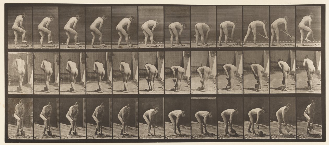 Levy 388. Maanviljelijä, lapio, 1872-1885 tekijältä Eadweard Muybridge