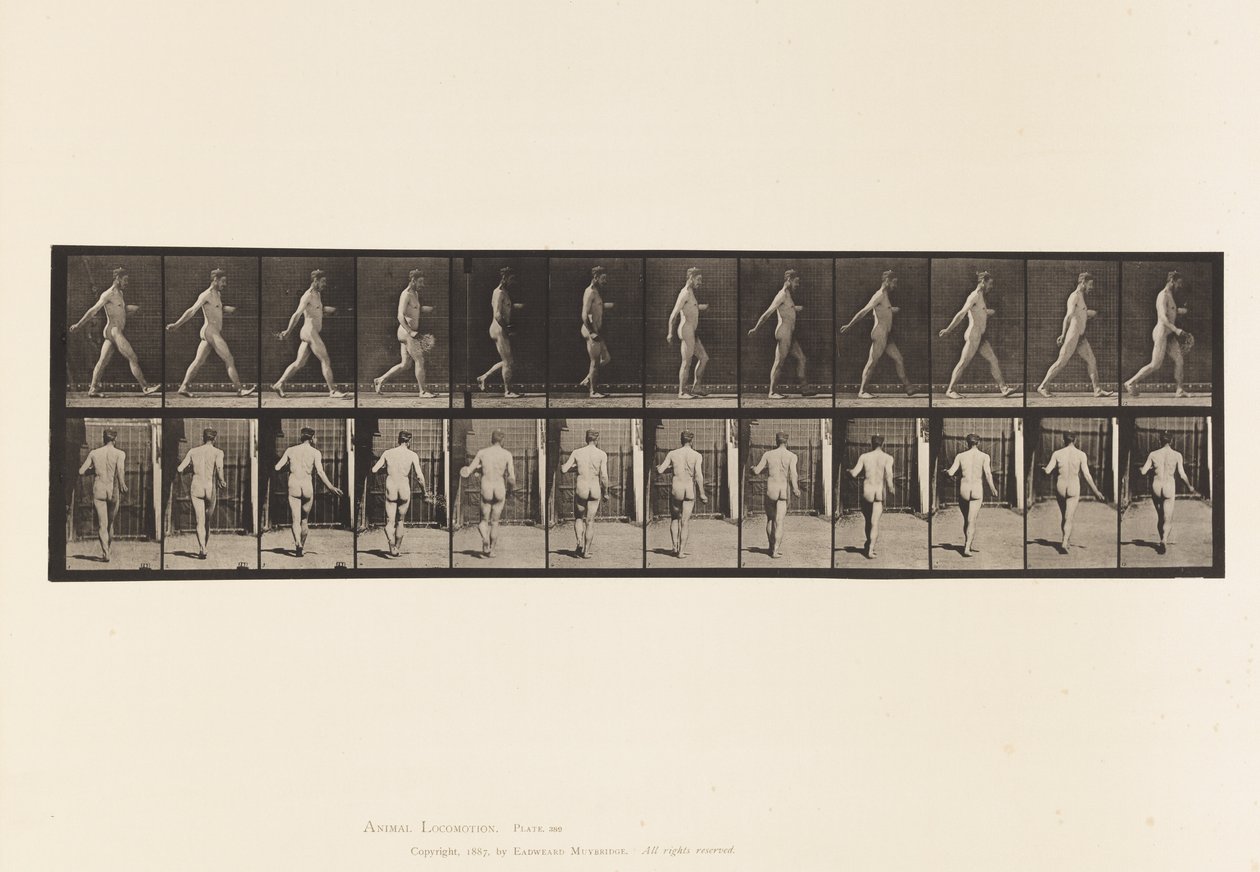 Levy 389. Farmer, Scattering Seed, 1872-1885 tekijältä Eadweard Muybridge