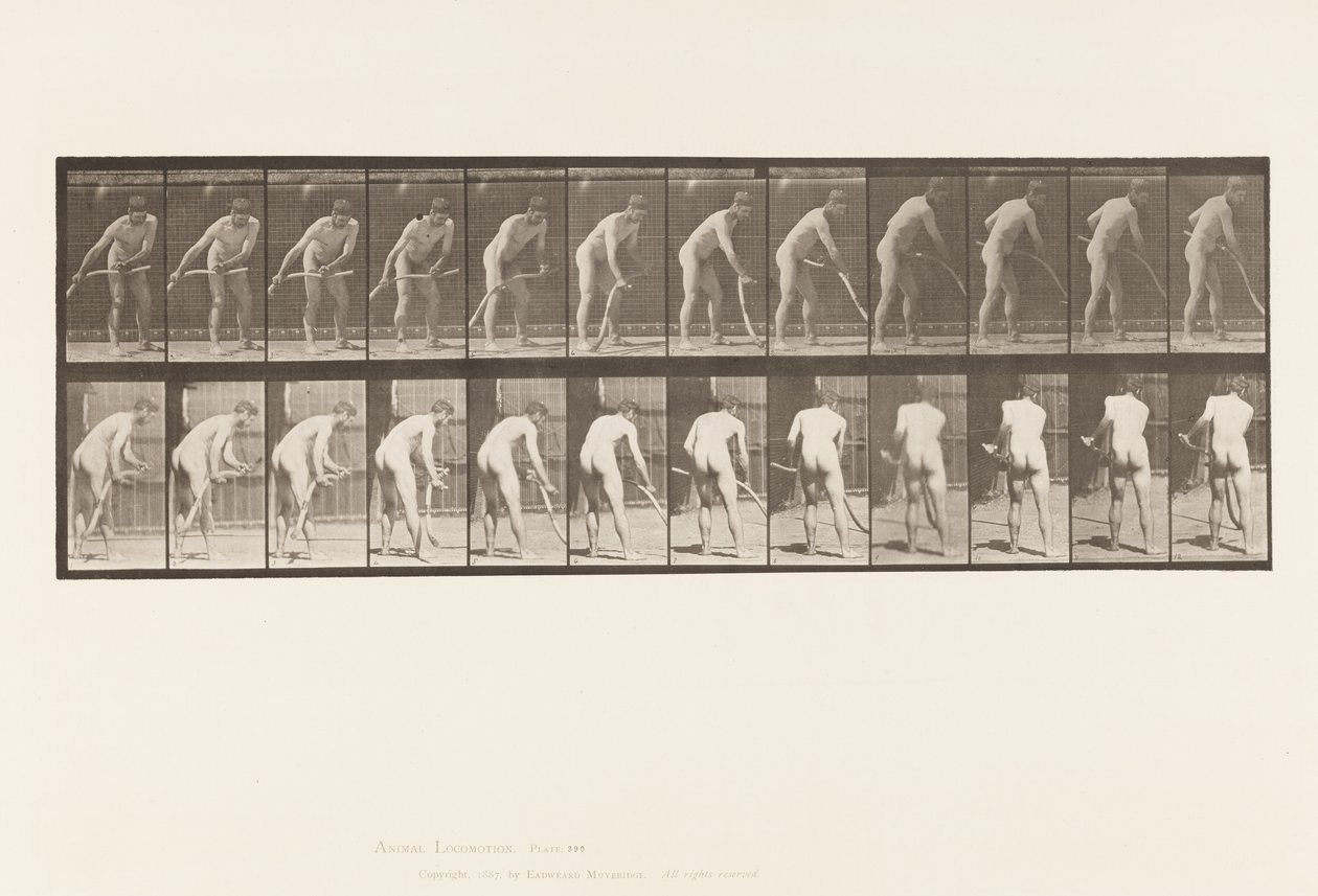Levy 390. Maanviljelijä, niitto ruohoa tekijältä Eadweard Muybridge
