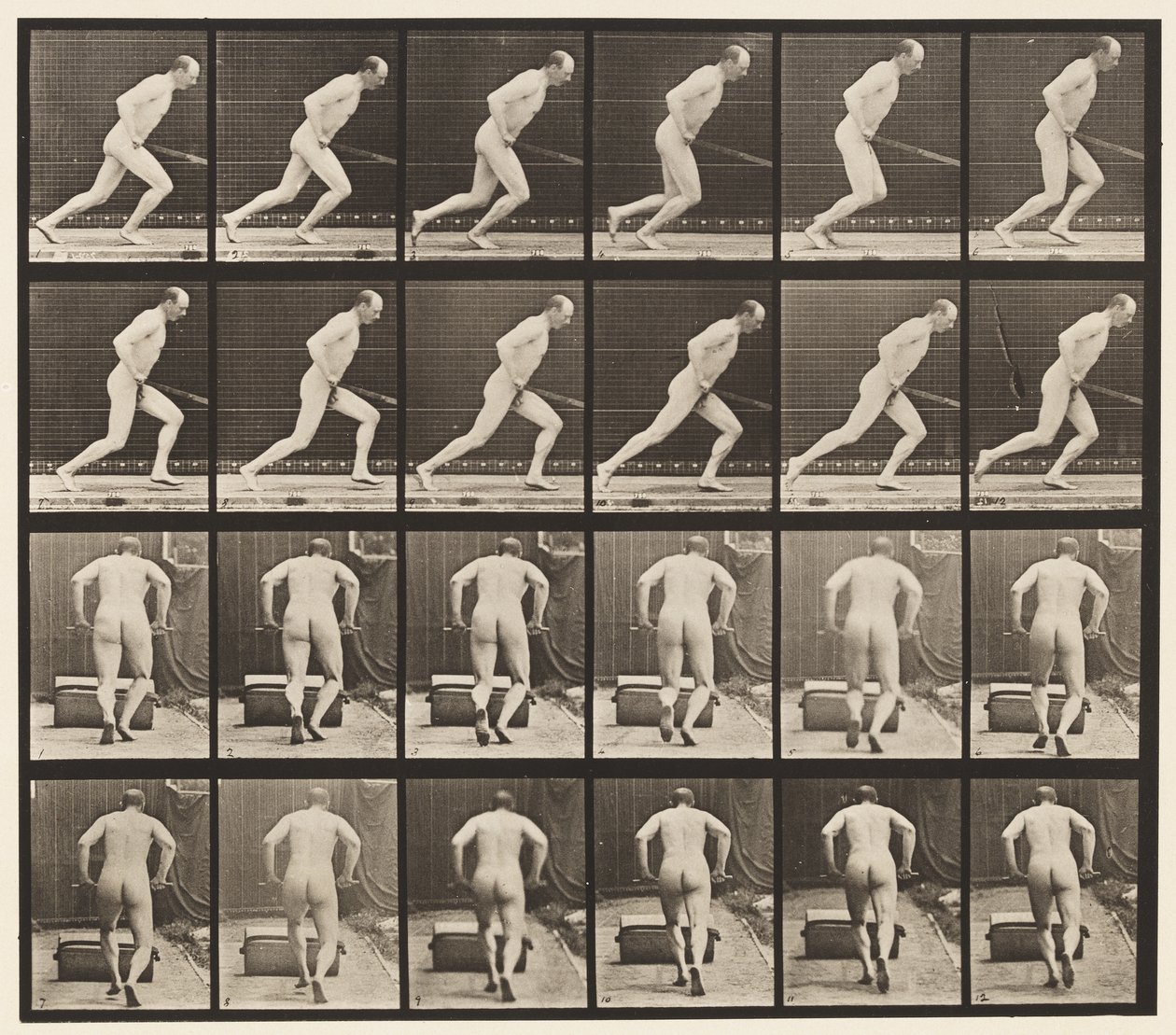 Levy 393. Puutarharullan työntäminen, 1872-1885 tekijältä Eadweard Muybridge