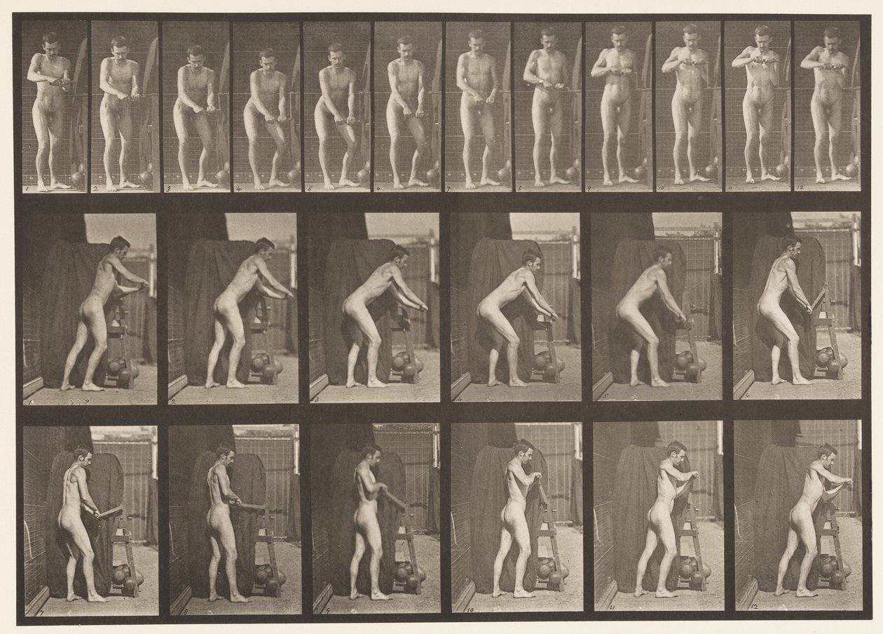 Levy 395. Kammen kahvan kääntäminen tekijältä Eadweard Muybridge